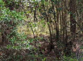 SW 202nd Ct Lot 21, Dunnellon, FL 34431