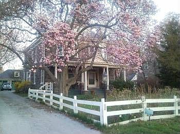 1st image of 381 E Gowen Ave