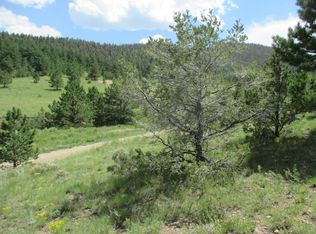 700 Sugarloaf Rd, Silver Cliff, CO 81252