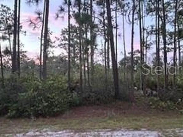 116 (BLK 62 LOT 8) CAMELLIA DRIVE LOT 8, INDIAN LAKE ESTATES, FL 33855