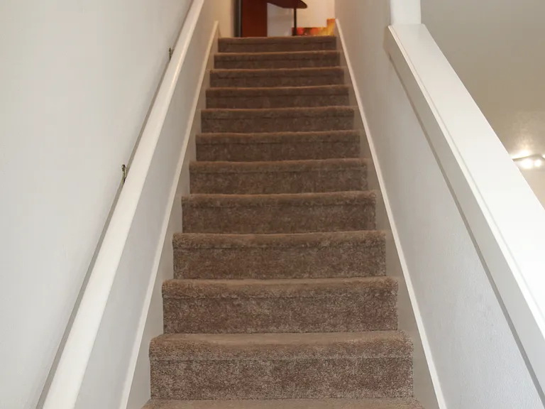 Warm, carpeted staircase leading to a bright tech area