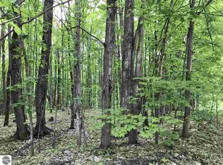 6348 S Maple Valley Rd NE, Mancelona, MI 49659