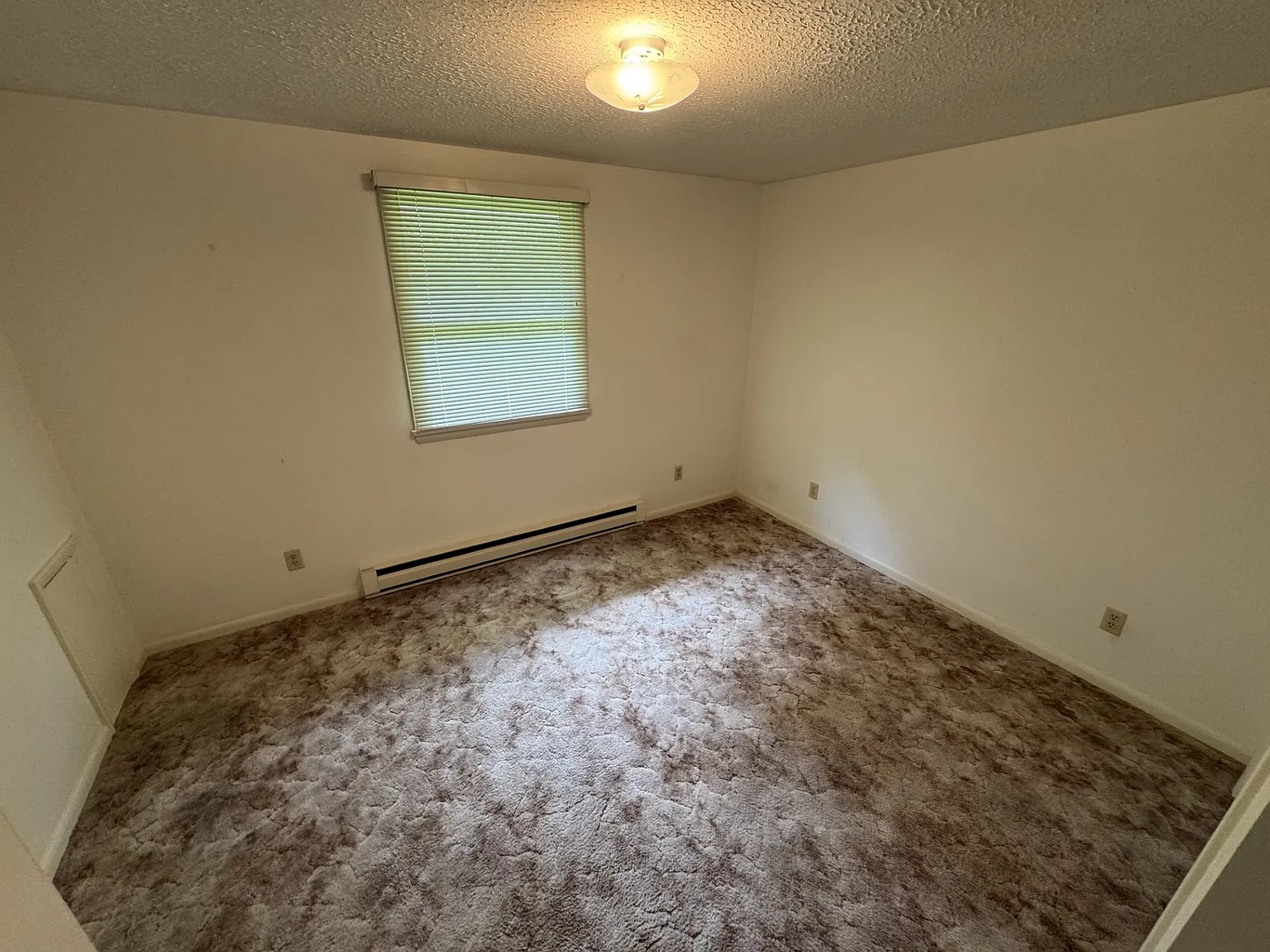 2 bed, $950 — Photo 4