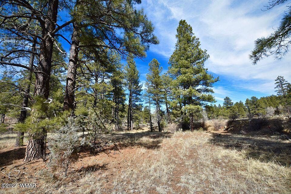 4701 W Mogollon Dr, Show Low, AZ 85901 Zillow