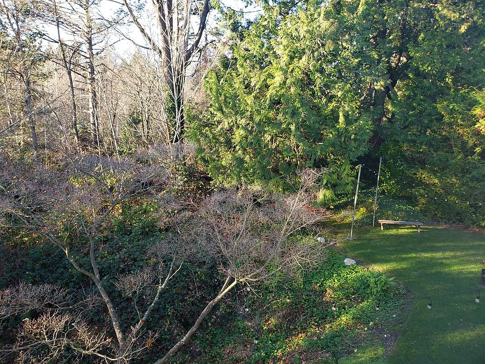 Outlook on to Ravenna Park