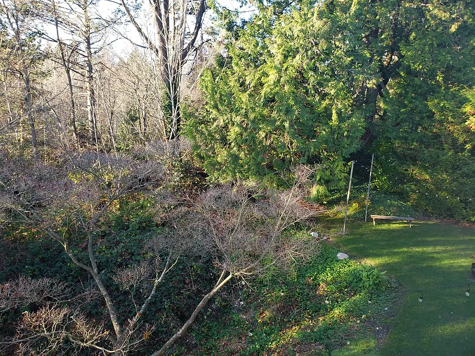 Outlook on to Ravenna Park