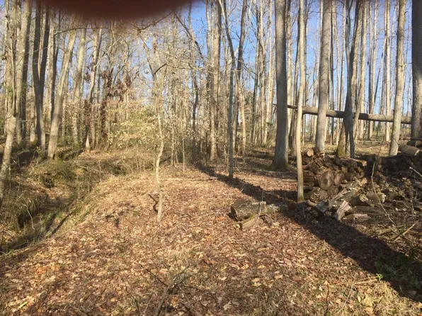 Indigo Bunting Dr, Harriman, TN 37748