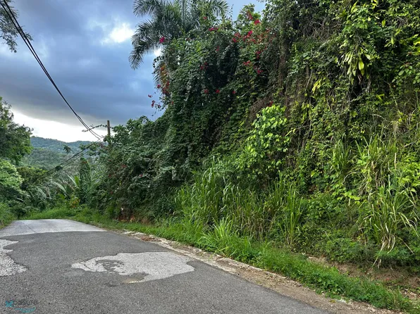 Km 3.3 Carr 346 Bo Lavadero, Hormigueros, PR 00660