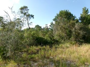 401 Hummingbird Ave, Sebring, FL 33872