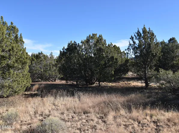 1202 E Ventura Ave #179, Williams, AZ 86046