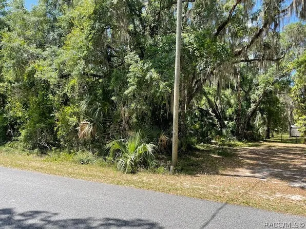 9220 N Cacalia Dr, Crystal River, FL 34428