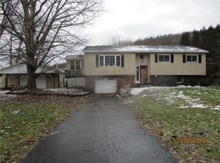 103 Catatonk Hill Rd, Candor, NY 13743