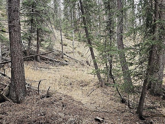 2nd image of 1398 Pathfinder Rd