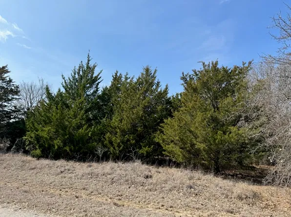 Tuscon, Burneyville, OK 73430