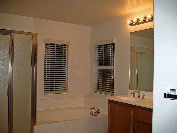 Elegant master bath