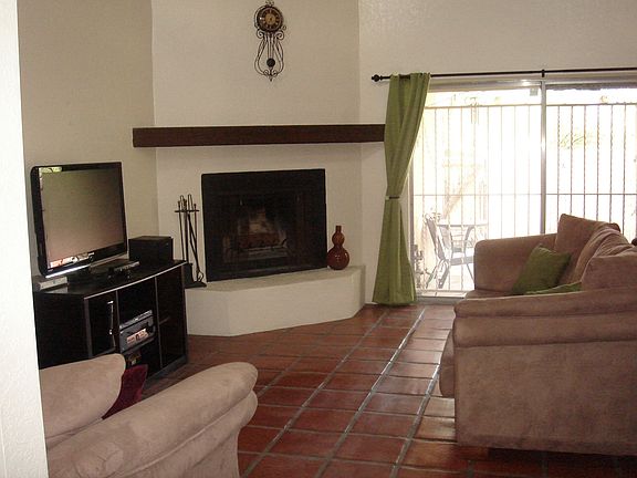 Wood burning fireplace