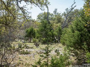 1313 Palmetto Point, Spring Branch, TX 78070