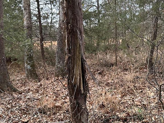 5th image of Upper Janes Creek Rd