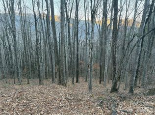 0 Slippery Rock Rd #306 & 307, Waynesville, NC 28785