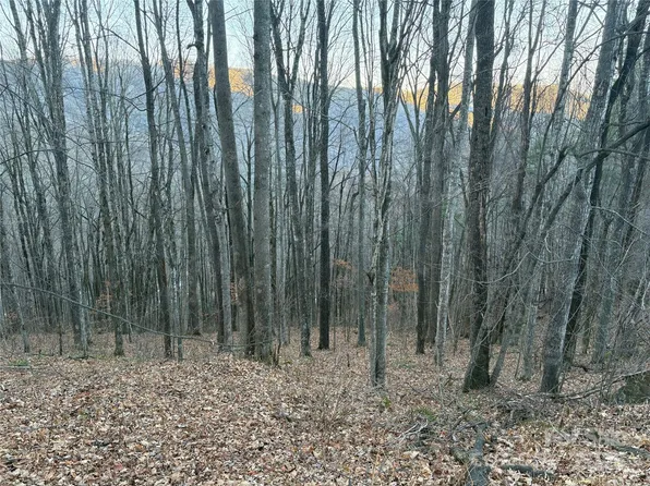0 Slippery Rock Rd #306 & 307, Waynesville, NC 28785