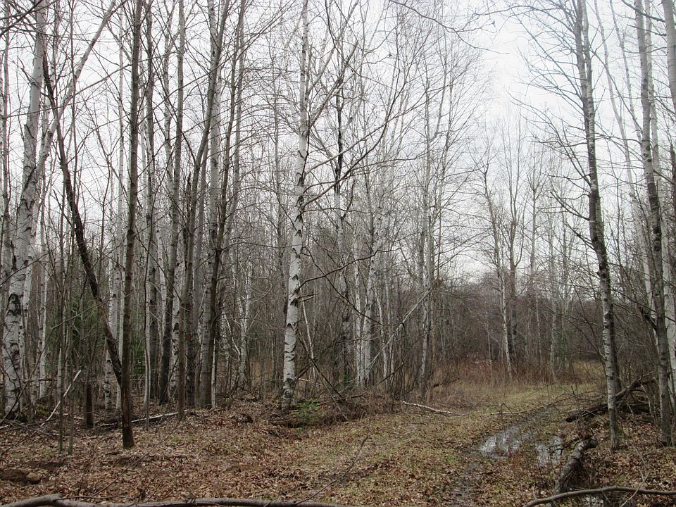 2nd image of 0 W Glen St