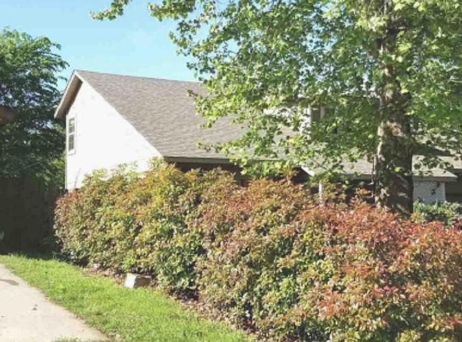 2nd image of 506 Redwood Dr