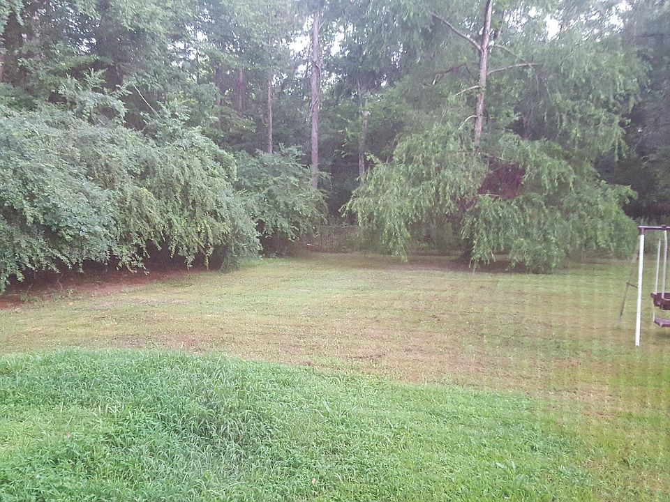 Back yard