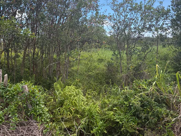Road 9 Koloa Maoli Lot 5616, Kurtistown, HI 96760