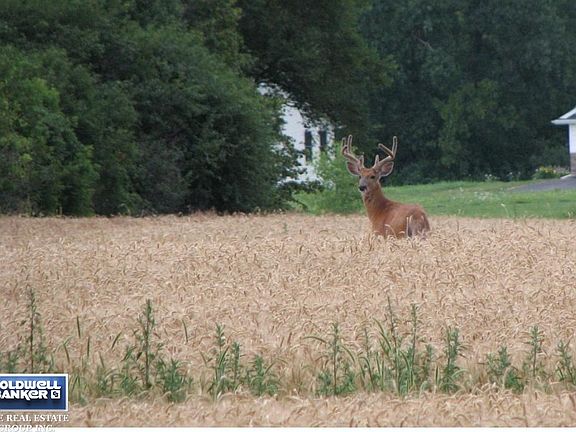 Seasonal photo of a visitor