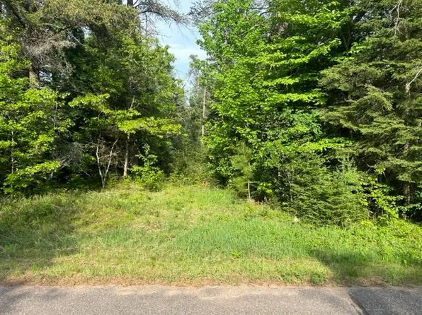 W Big Portage Lake Rd, Land O Lakes, WI 54540