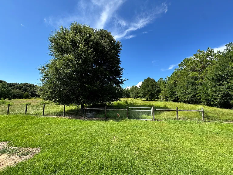 10042 Jeno Rd — Photo 11