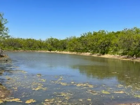 County Road 137, Winters, TX 79567