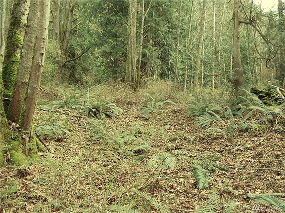 Several building lots are available on Lot 2.