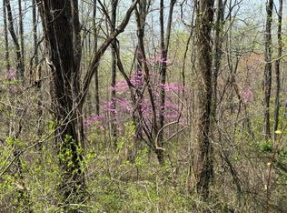 1 & 2 Murray Hollow Rd, Thaxton, VA 24174