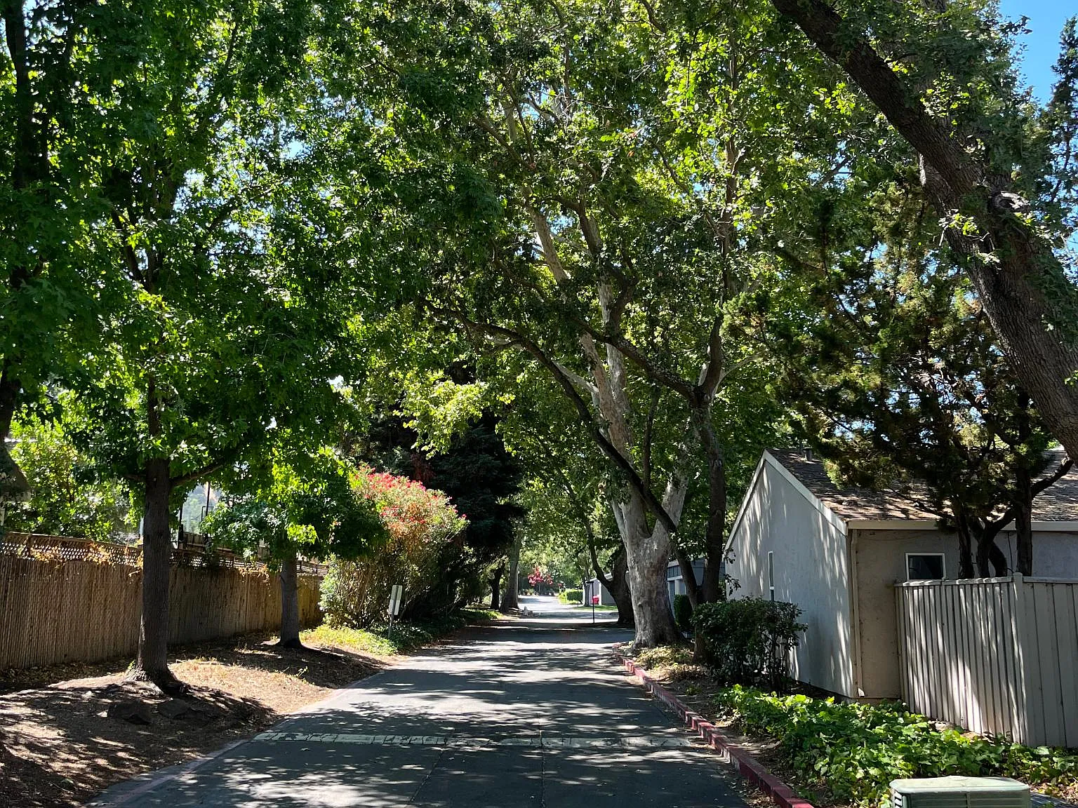 3 bed, 1395 sqft, $3,950 — Photo 3