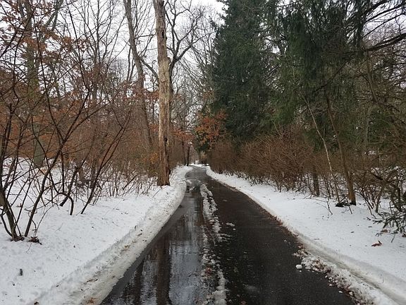 5th image of 13 Sylvan Dr