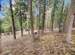 1625 Skyline Dr, Arnold, CA 95223