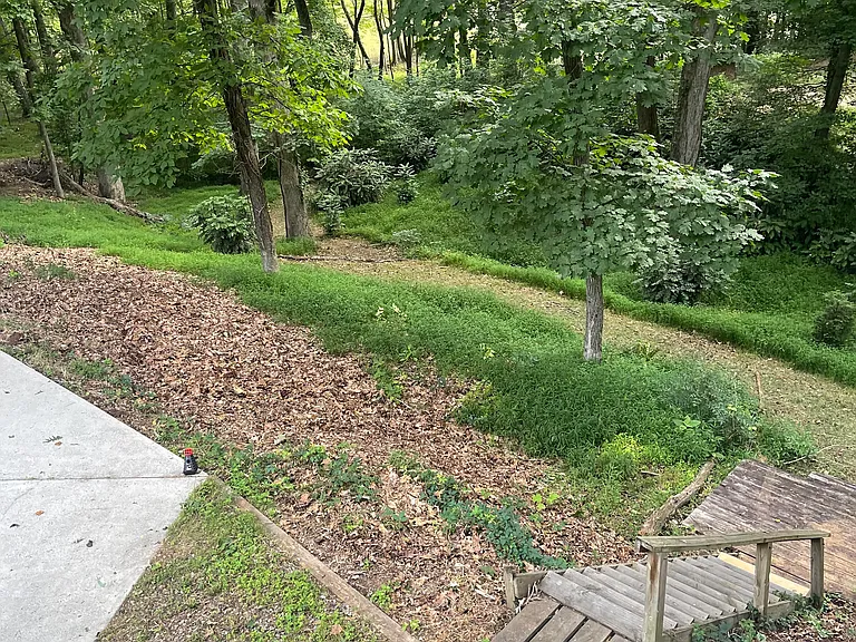 785 Timber Lake Trl — Photo 14