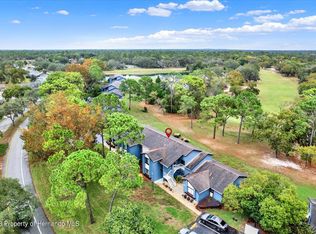 7678 Saint Andrews Blvd, Weeki Wachee, FL 34613