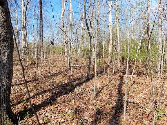 2nd image of 179 Skyline Dr
