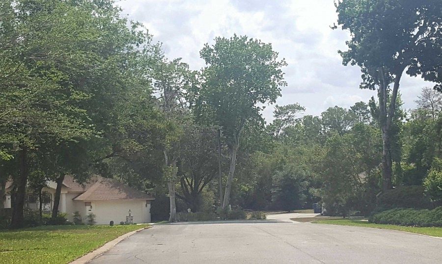 2nd image of 905 Mesquite Trl