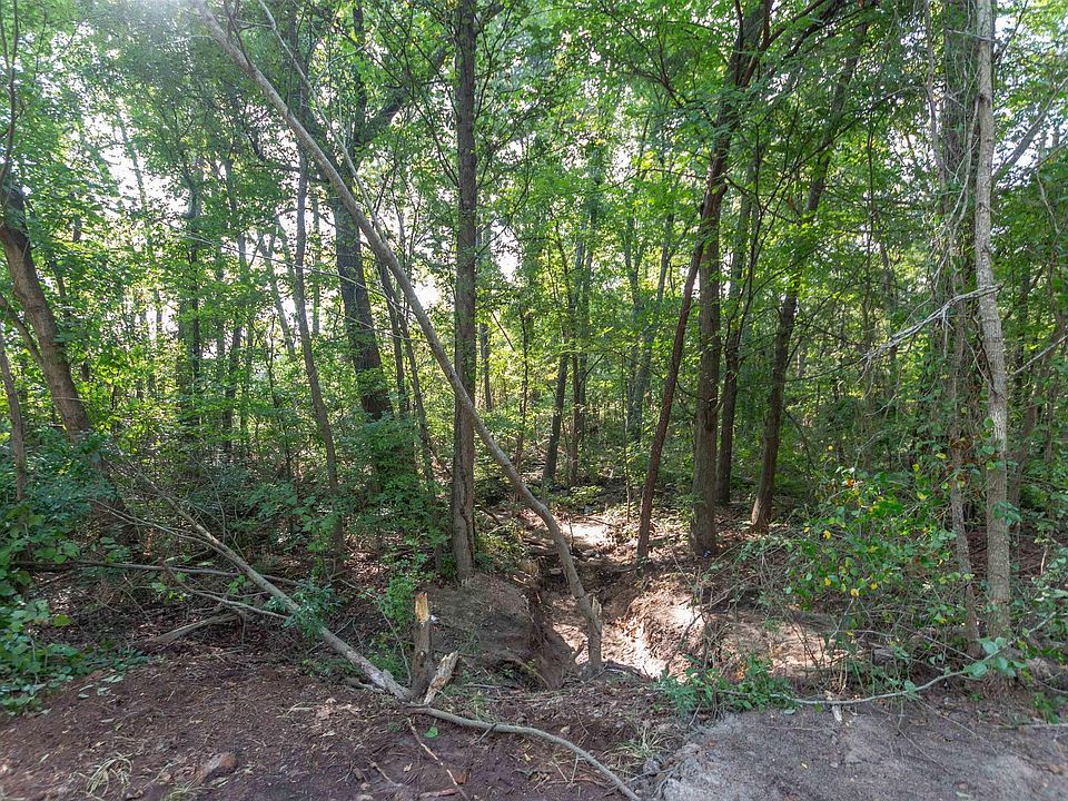 2nd image of County Road 1237