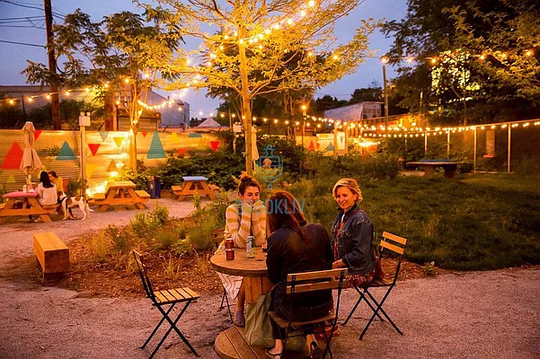 Rented by null | media 64