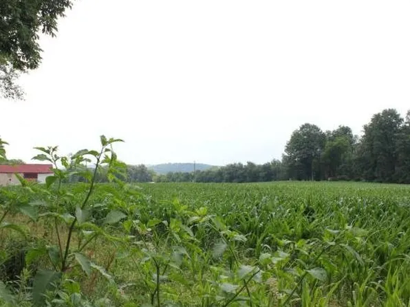 297 Kulps Rd, Barto, PA 19504