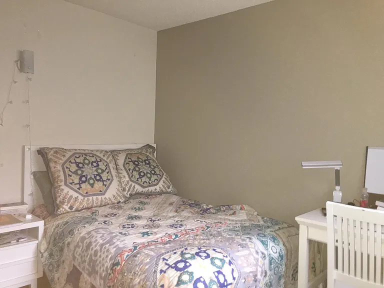 702 E Linden St — Photo 11