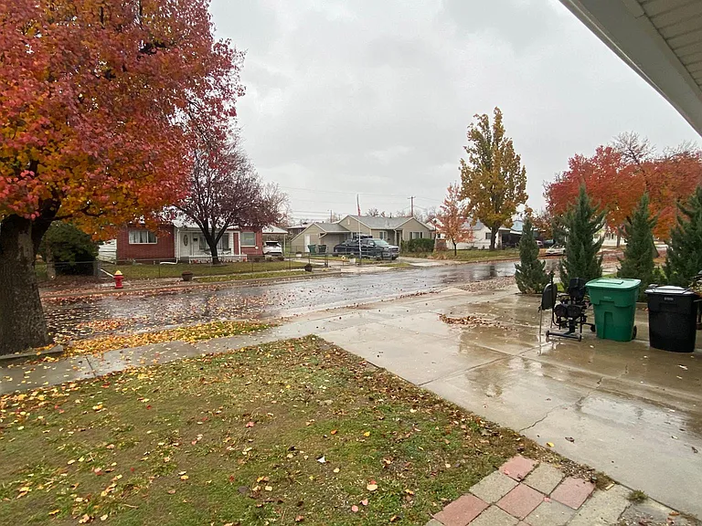 Front yard view from porch