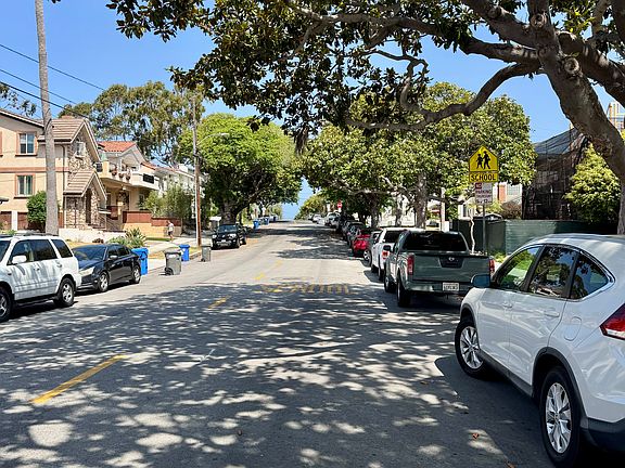 Beautiful tree lined street