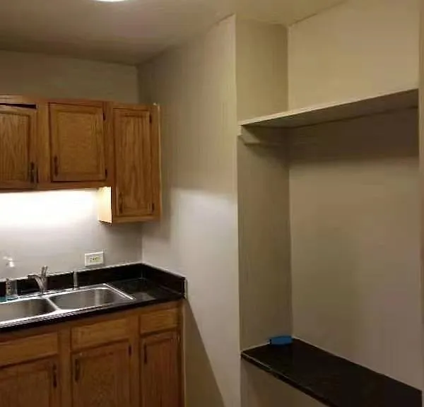 3041 S Michigan Ave #3040 — Photo 7