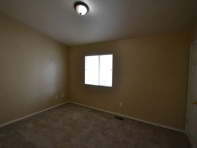 3885 Cherry Plum Dr — Photo 10