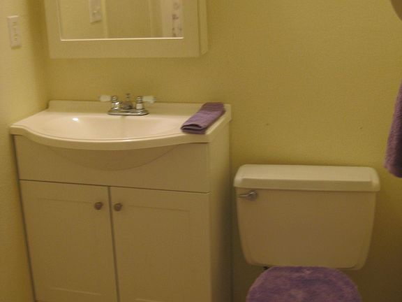 5th image of 313 McFadden Hut Dr